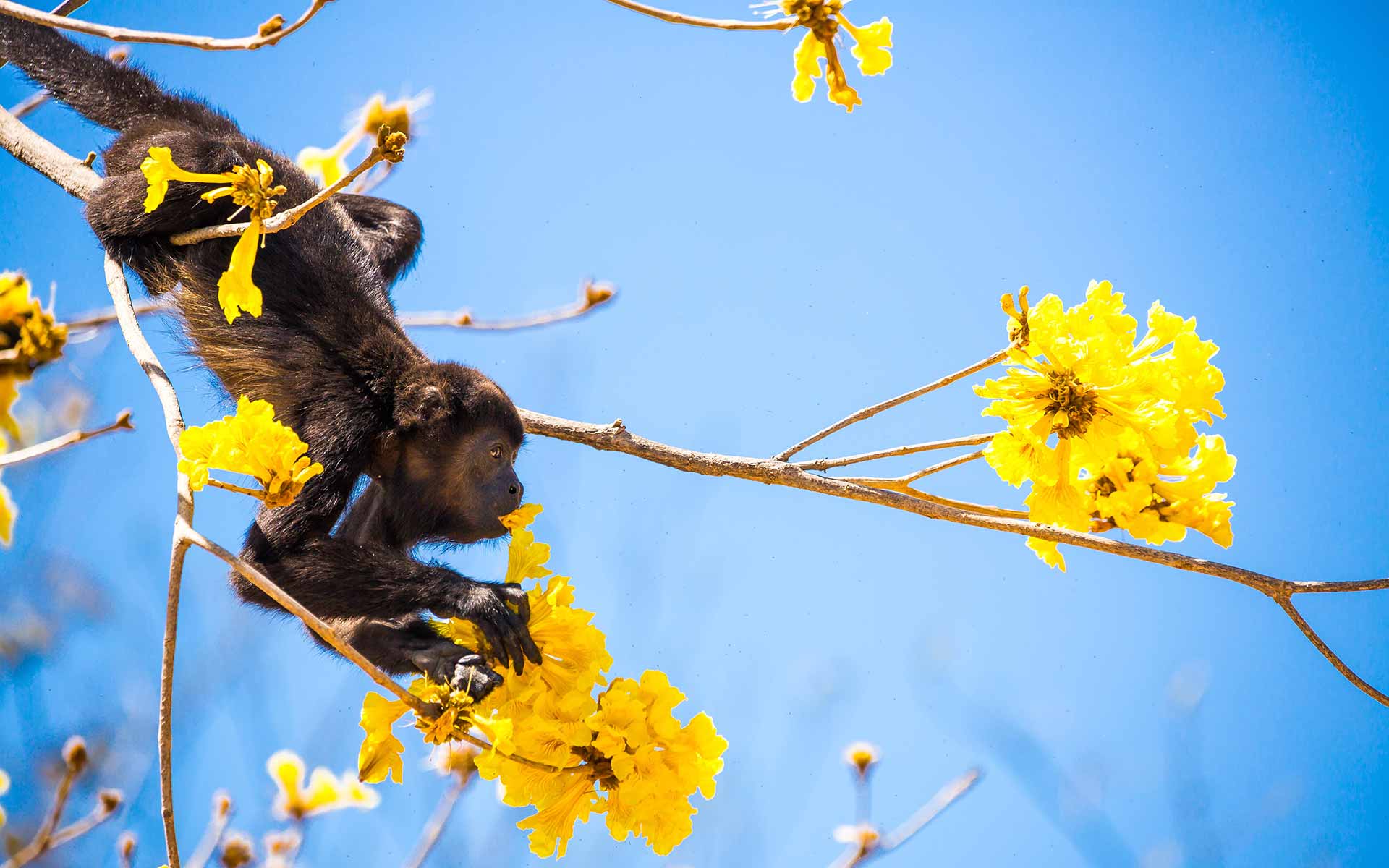 Environnement Youcome Voyage Sur Mesure Au Costa Rica